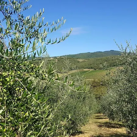 Holiday House Le Selvole * Radda in Chianti