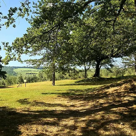 Holiday House Le Selvole Radda in Chianti