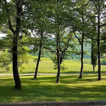 Holiday House Le Selvole Apartment Radda in Chianti