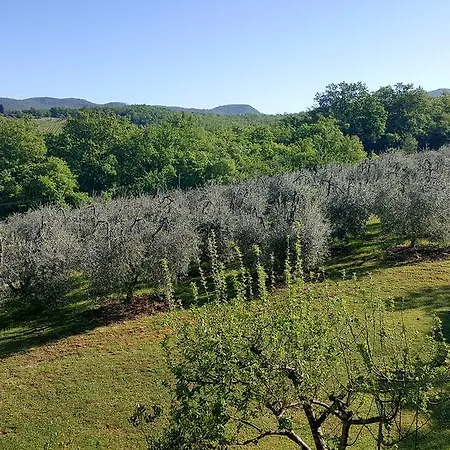 Apartment Holiday House Le Selvole *