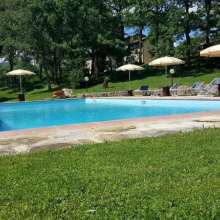 Apartment Holiday House Le Selvole Radda in Chianti