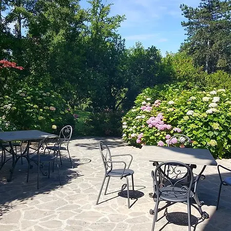 Holiday House Le Selvole Radda in Chianti