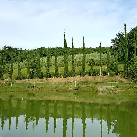 Apartment Holiday House Le Selvole Radda in Chianti