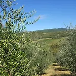 House Le Selvole * Radda in Chianti
