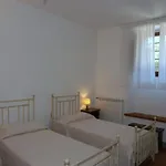 House Le Selvole Radda in Chianti