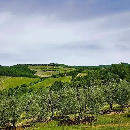 Holiday House Le Selvole